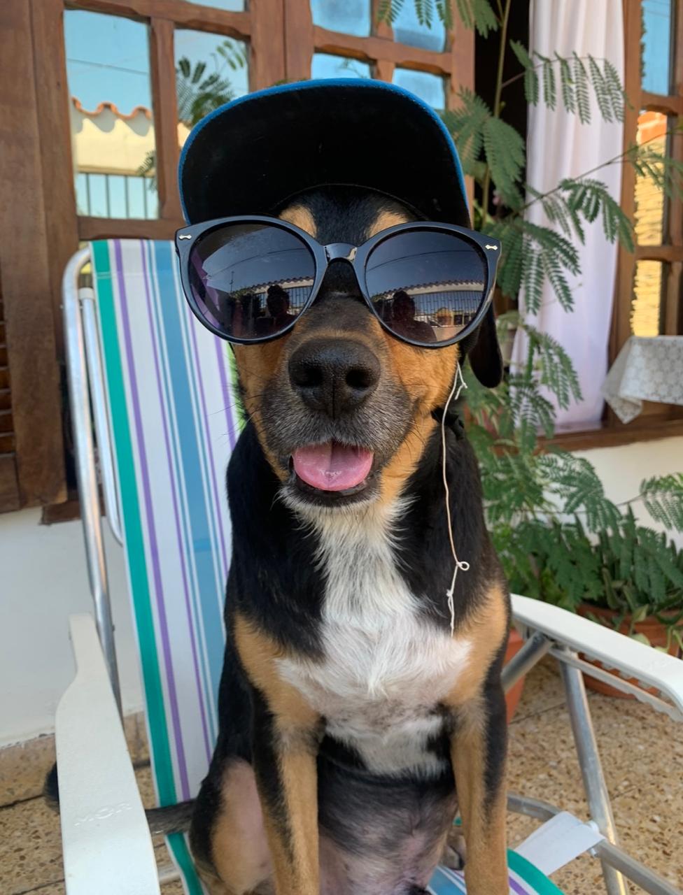 Imagen de publicación